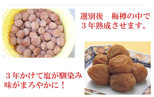 梅干し,梅,梅肉エキス,紀州南高梅干通販の専門店 - 深見梅店-3年熟成梅干
